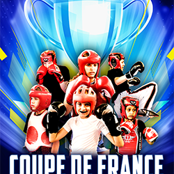 Coupe de France de Full contact, Light contact et Point fighting