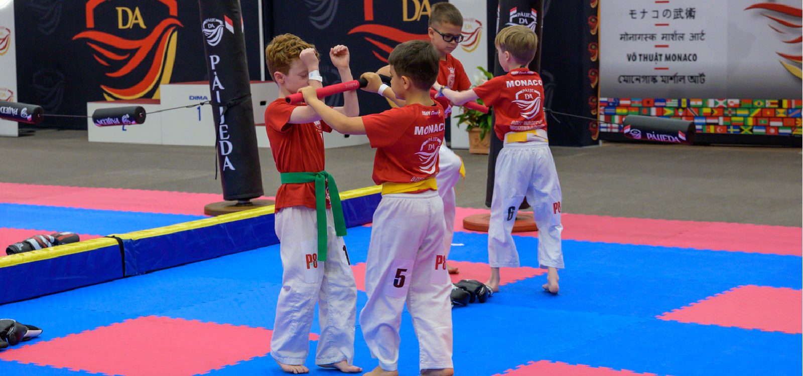 Disciplines associées - Paijeda